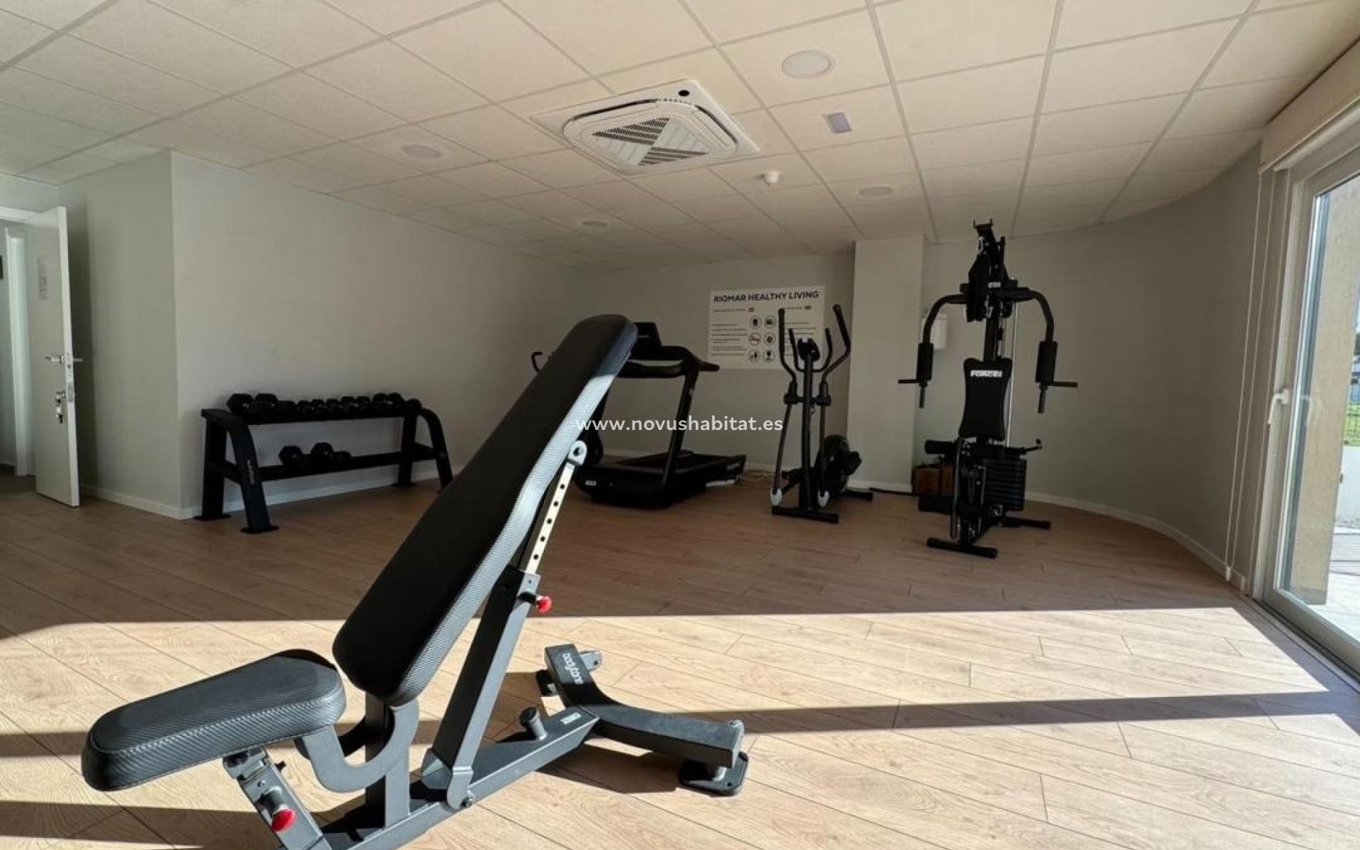 Nouvelle construction - Apartament - Pilar de la Horadada