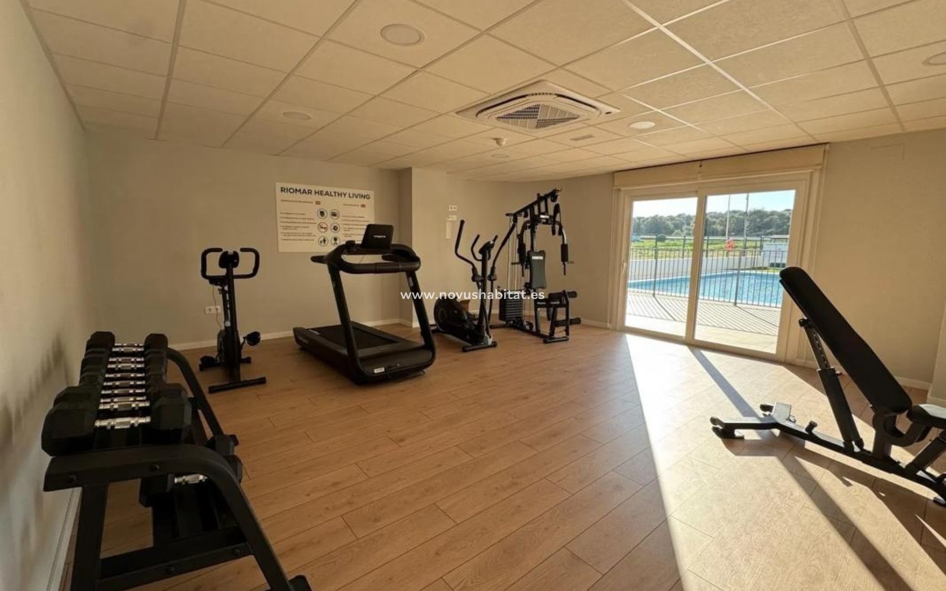 Nouvelle construction - Apartament - Pilar de la Horadada