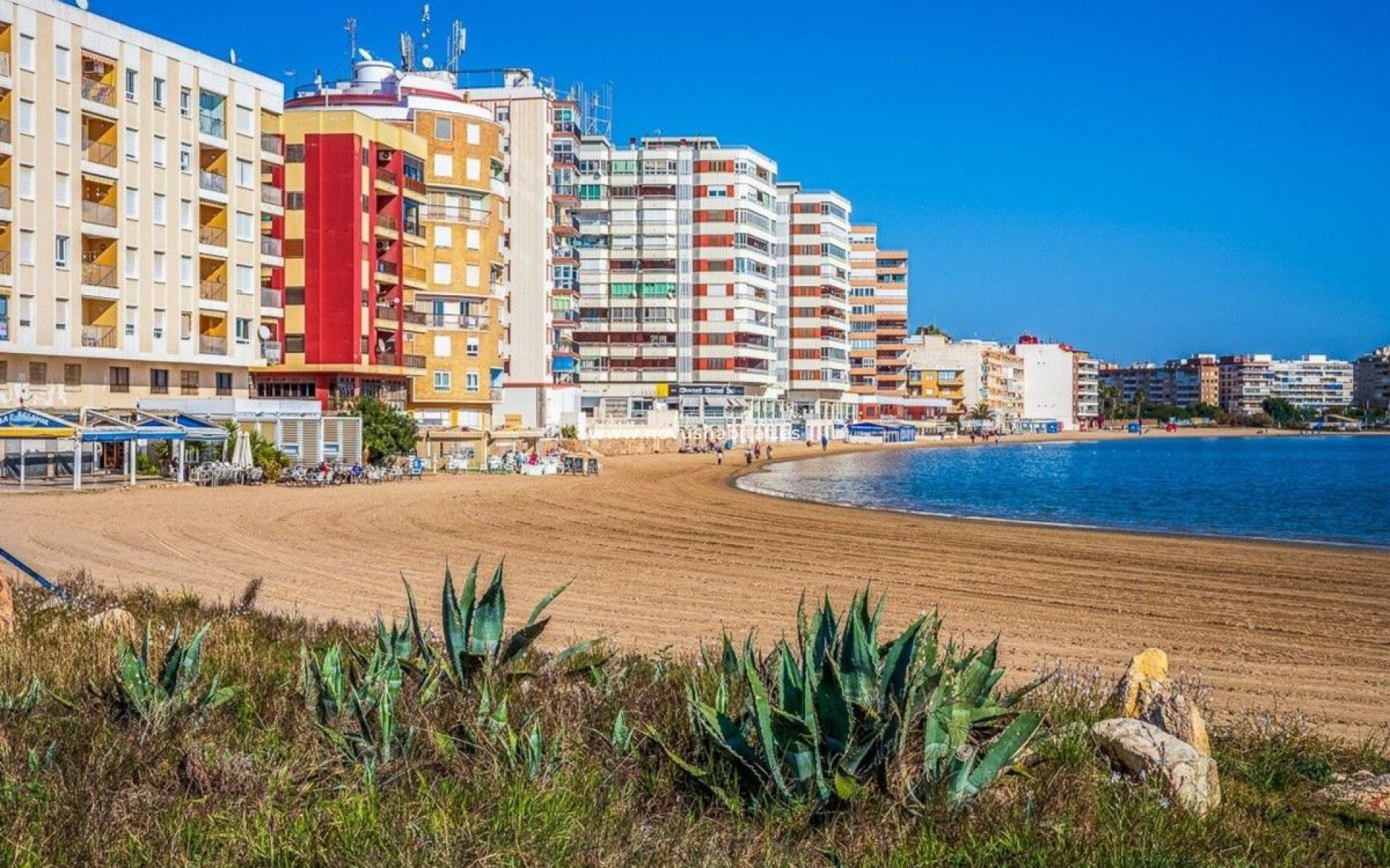 Nouvelle construction - Apartament - Torrevieja