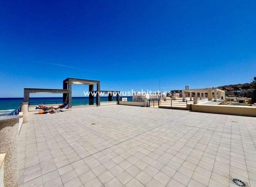 Nouvelle construction - Apartament - Torrevieja