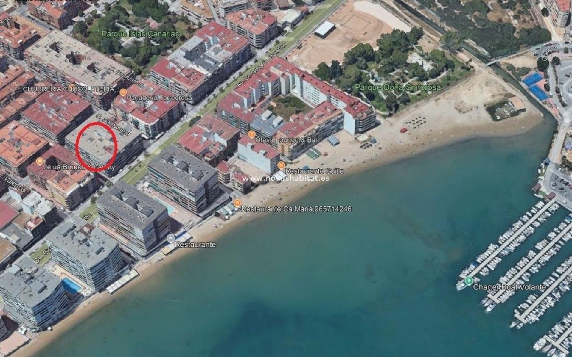 Nouvelle construction - Apartament - Torrevieja