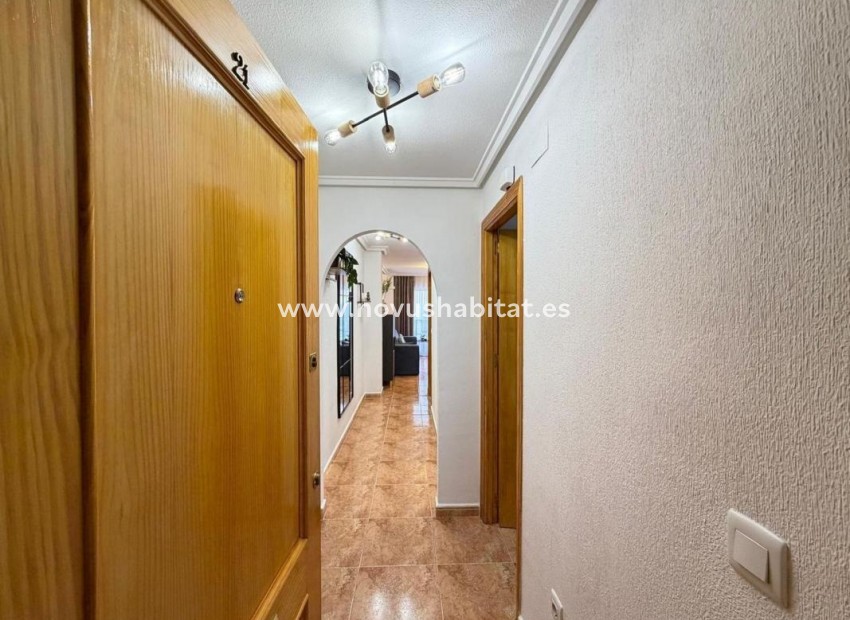 Nouvelle construction - Apartament - Torrevieja