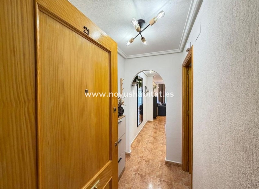 Nouvelle construction - Apartament - Torrevieja