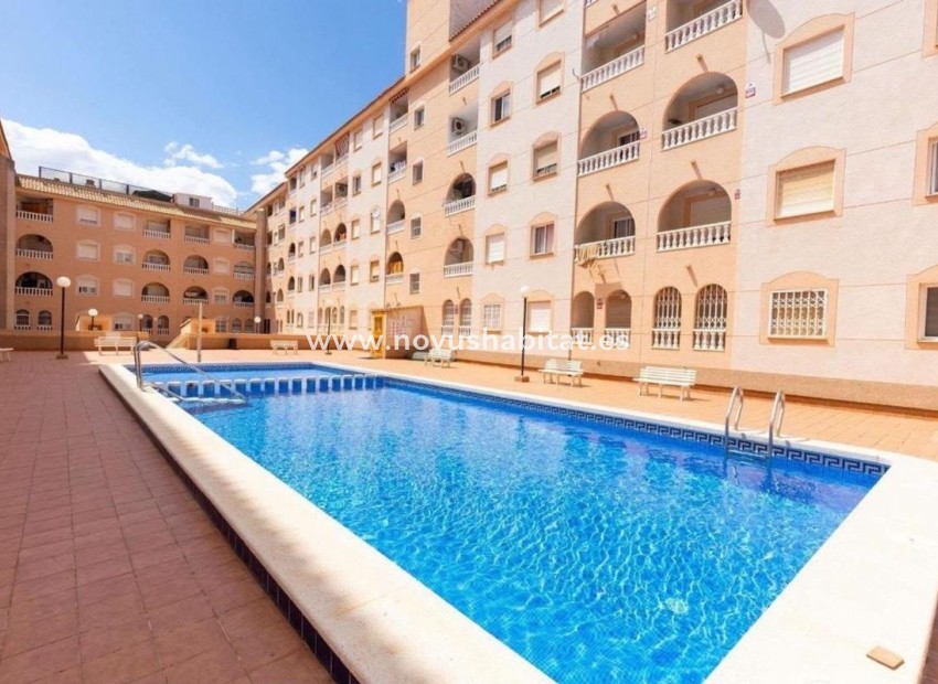 Nouvelle construction - Apartament - Torrevieja