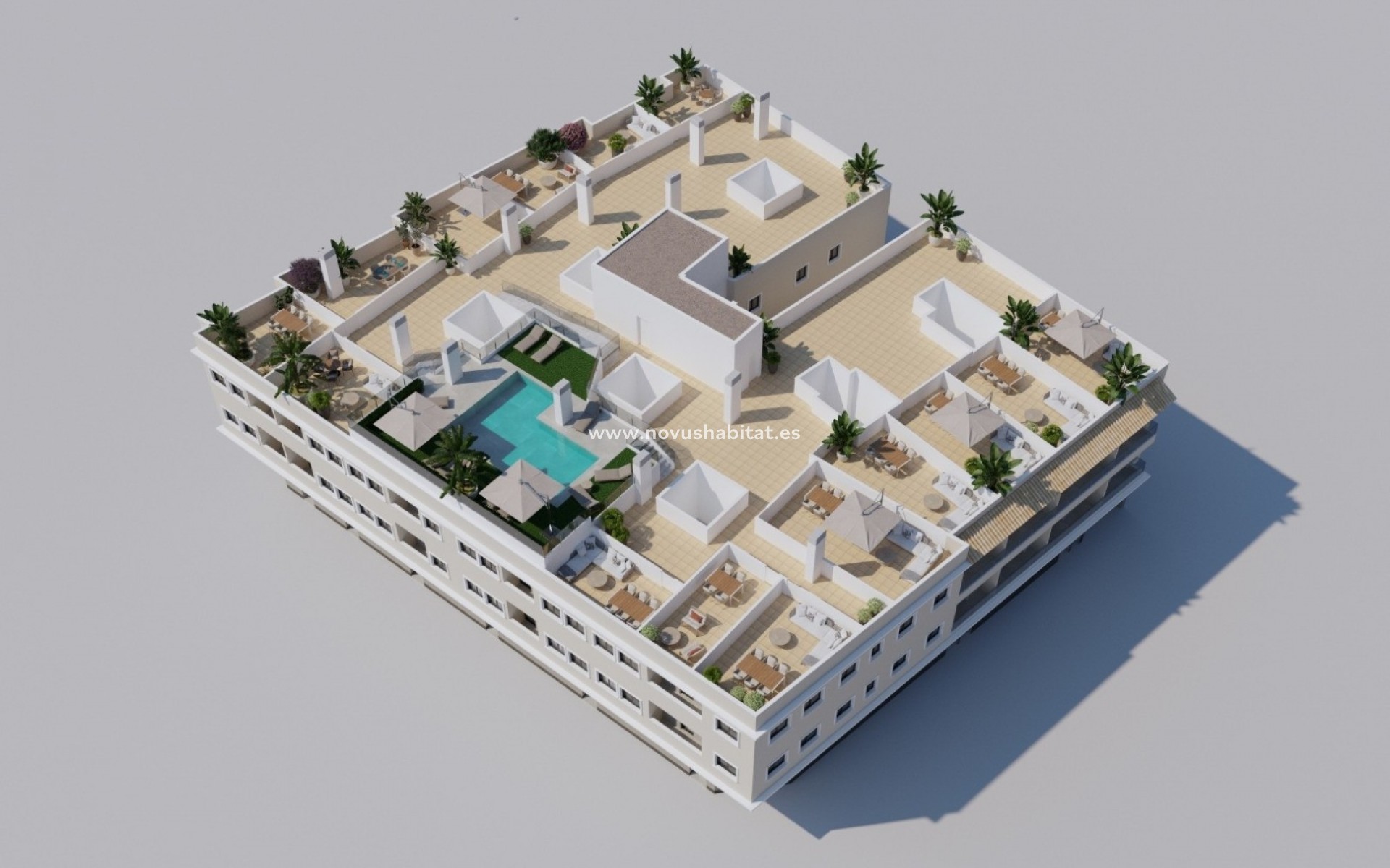 Nouvelle construction -  Appartement - Algorfa