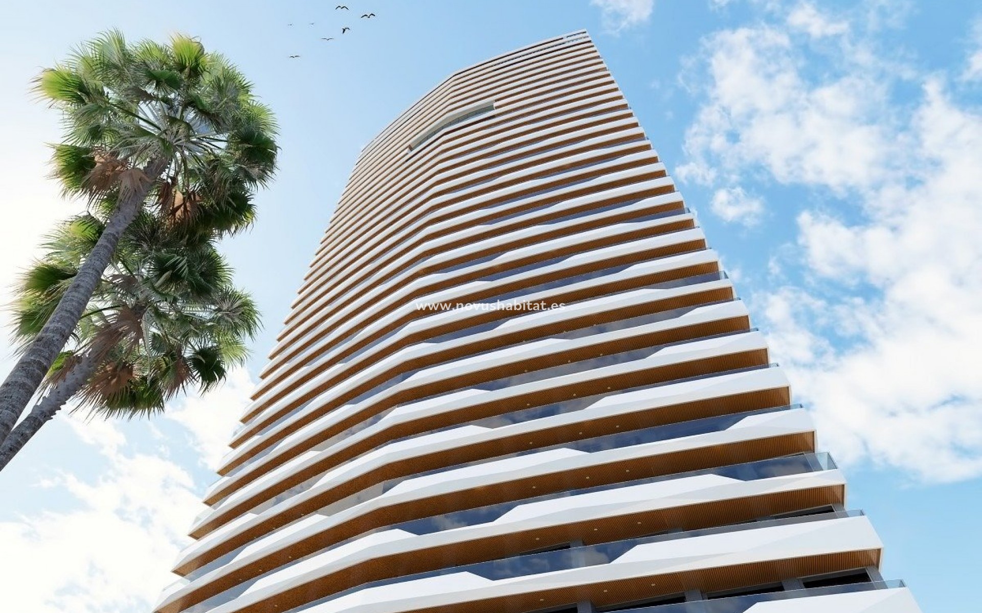 Nouvelle construction -  Appartement - Benidorm - Poniente