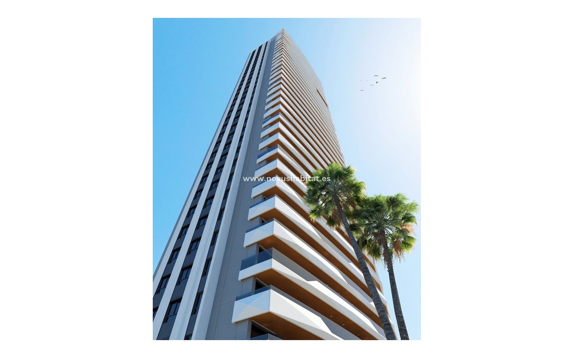 Nouvelle construction -  Appartement - Benidorm - Poniente