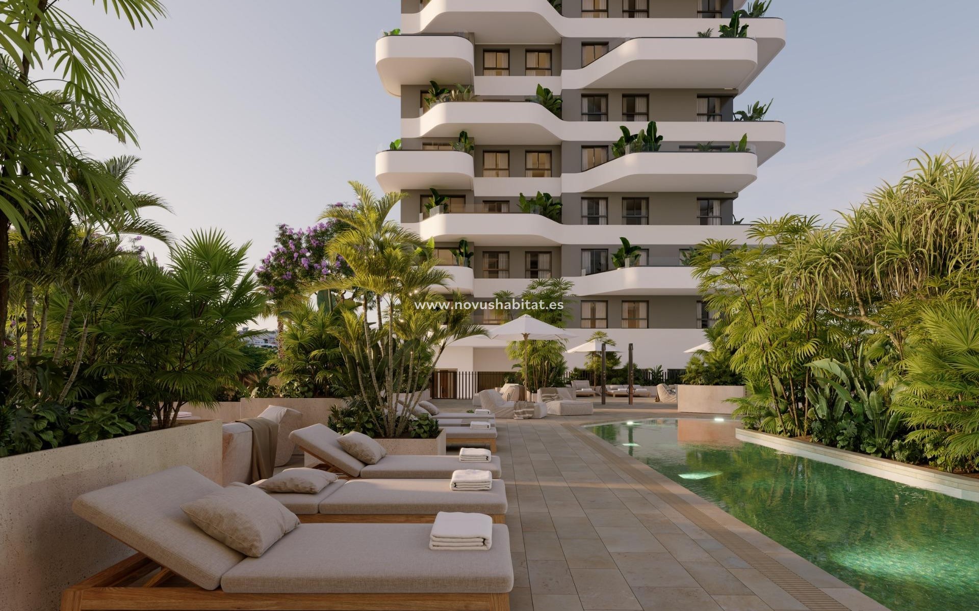 Nouvelle construction -  Appartement - Calpe