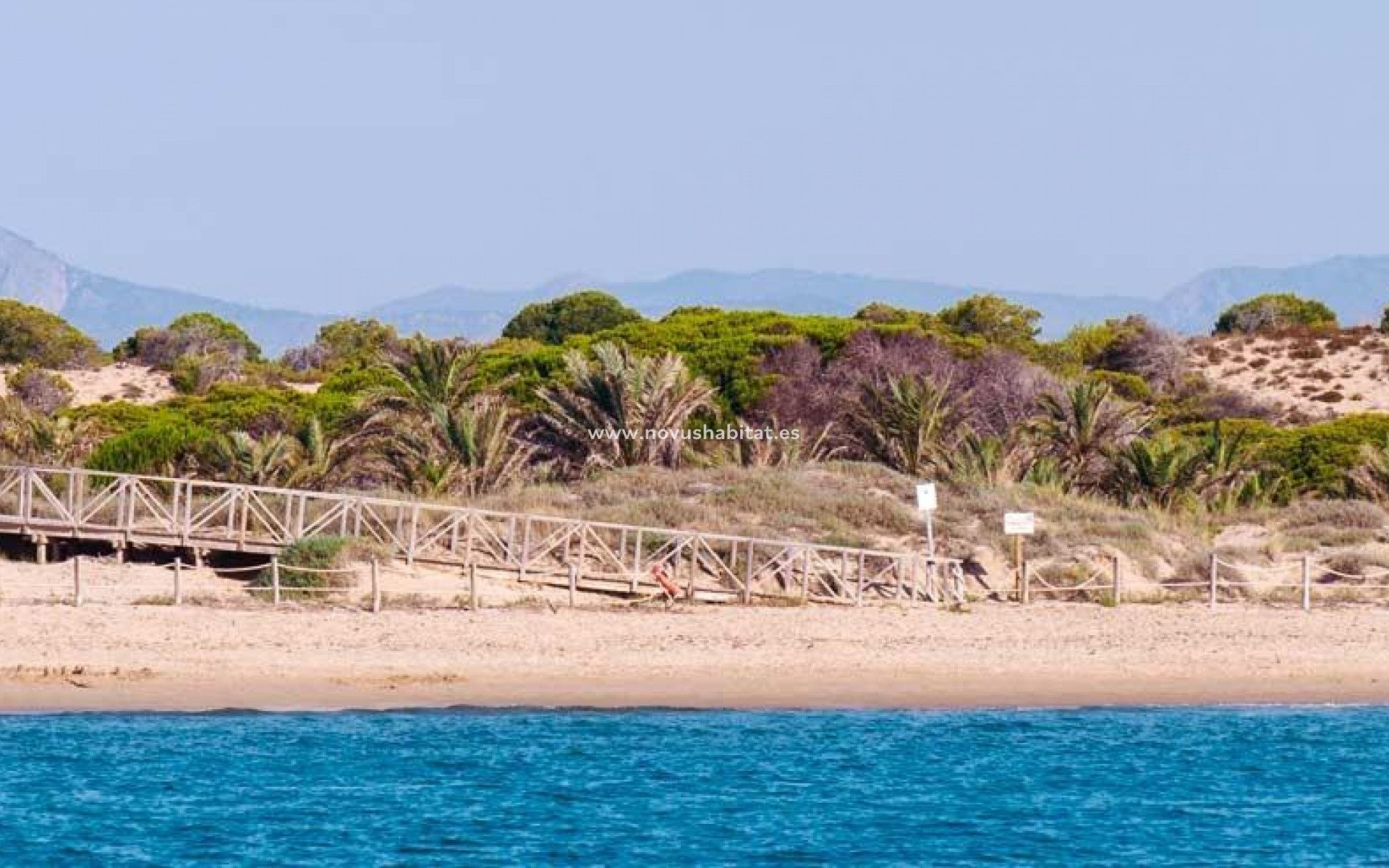 Nouvelle construction -  Appartement - Guardamar del Segura