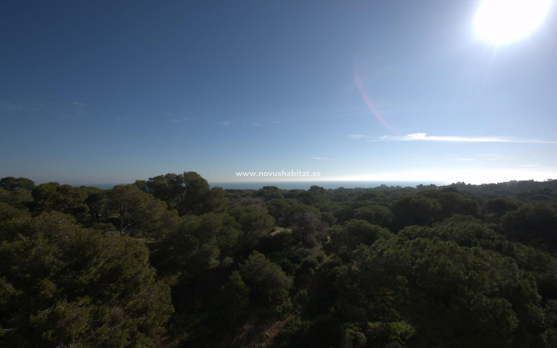 Nouvelle construction -  Appartement - Guardamar del Segura