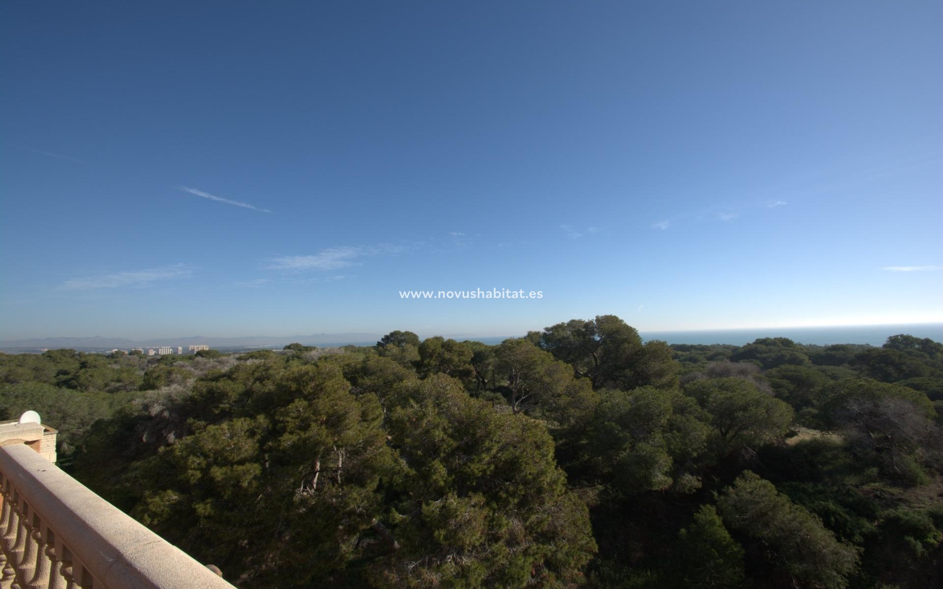 Nouvelle construction -  Appartement - Guardamar del Segura