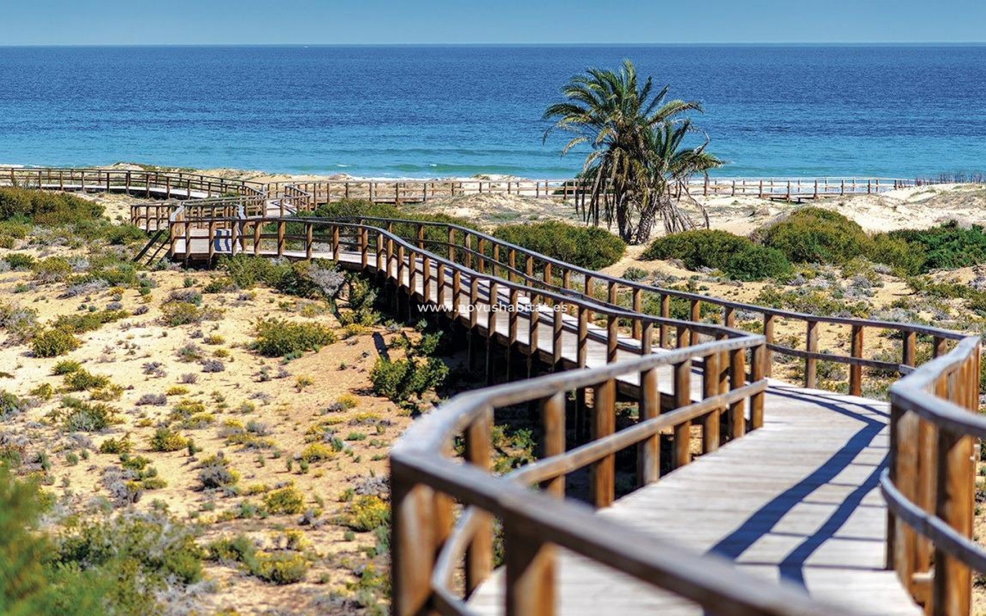 Nouvelle construction -  Appartement - Monforte del Cid