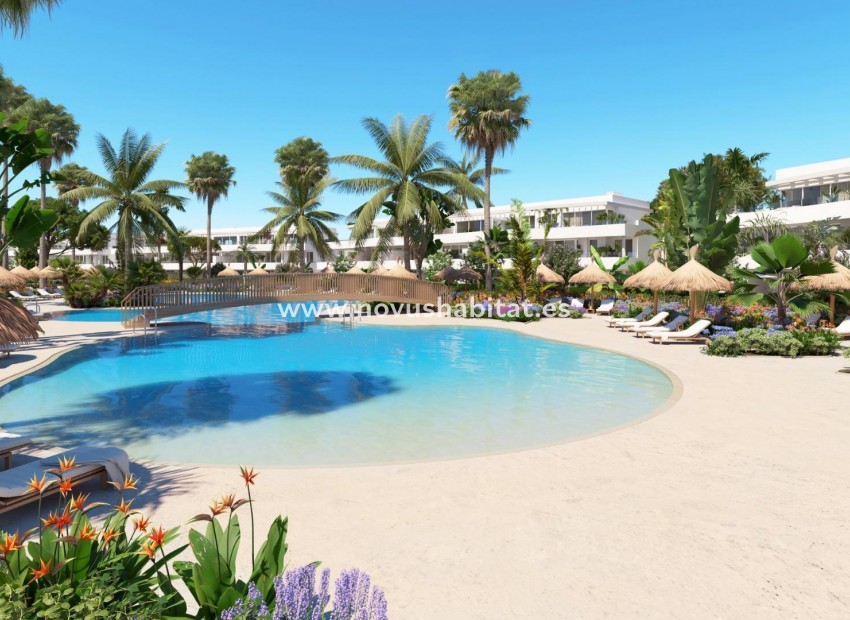 Nouvelle construction -  Appartement - San Roque