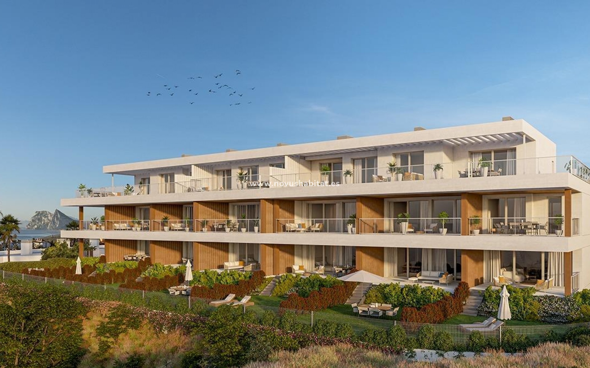 Nouvelle construction -  Appartement - San Roque