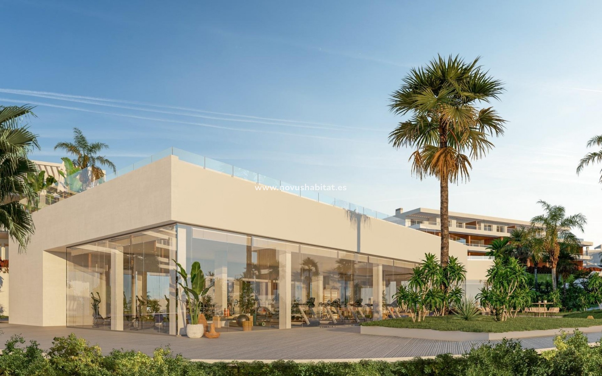 Nouvelle construction -  Appartement - San Roque