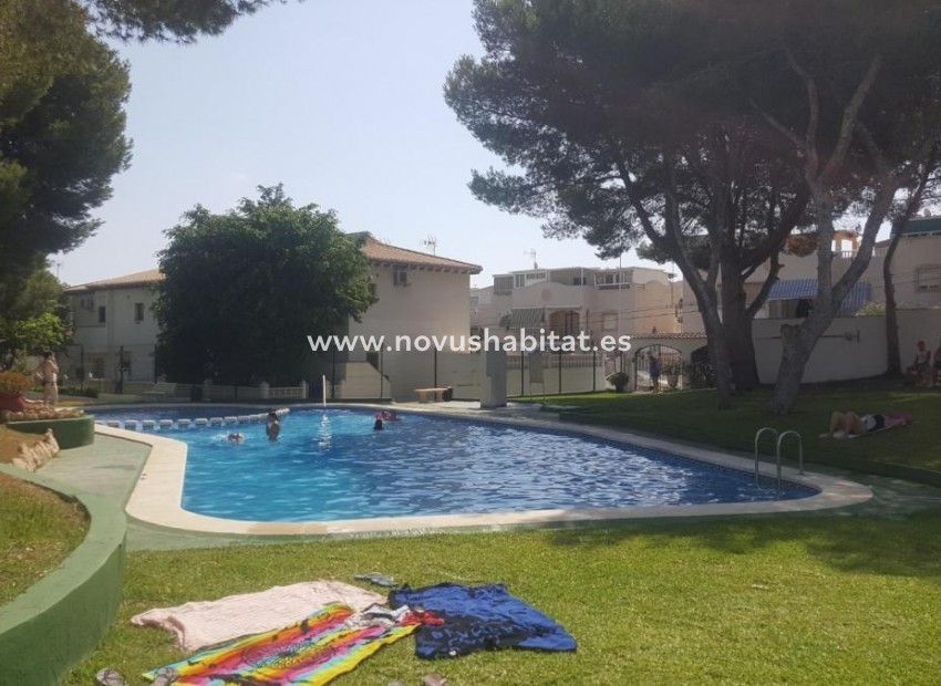 Nouvelle construction -  Appartement - Torrevieja