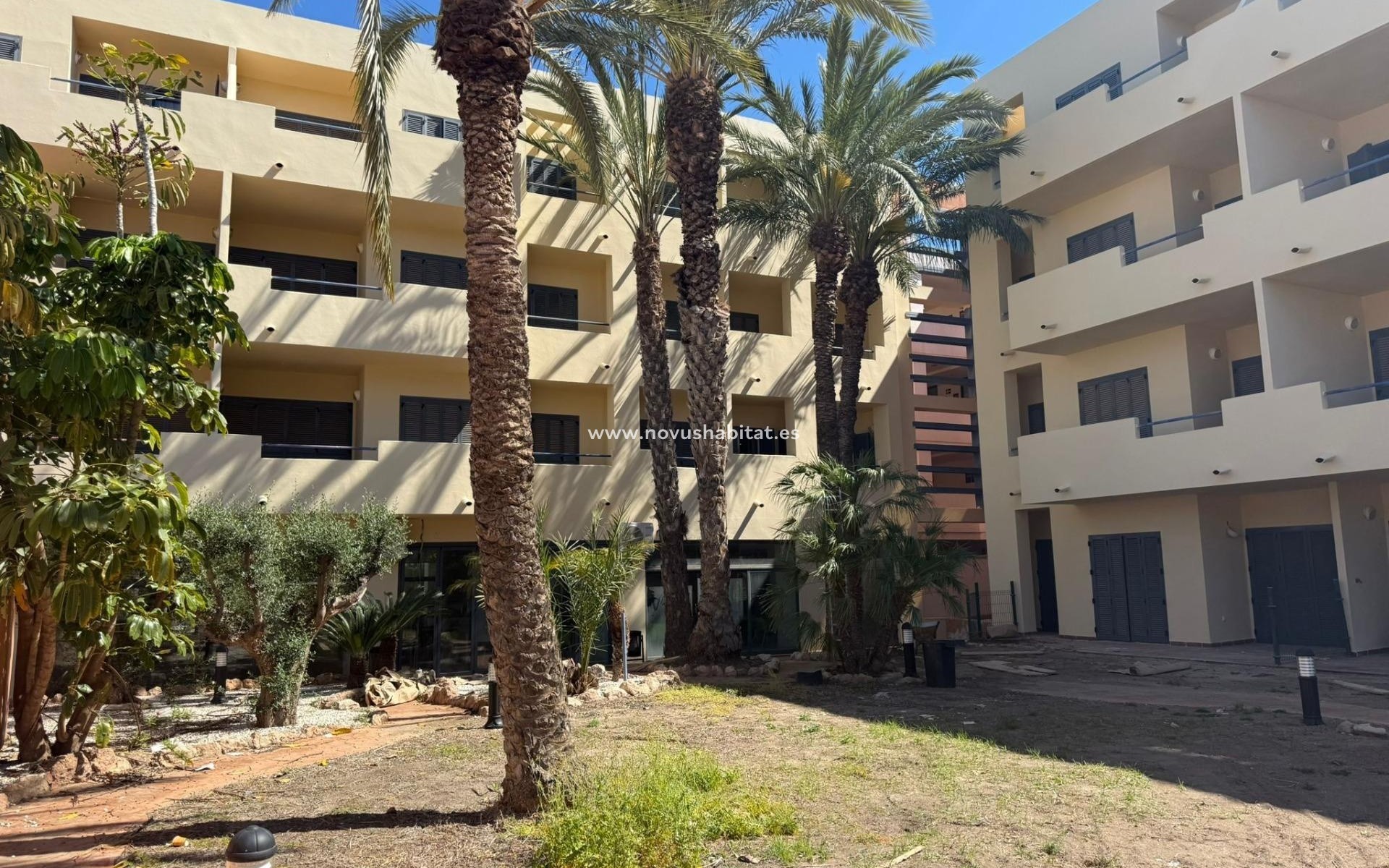 Nouvelle construction -  Appartement - Vera