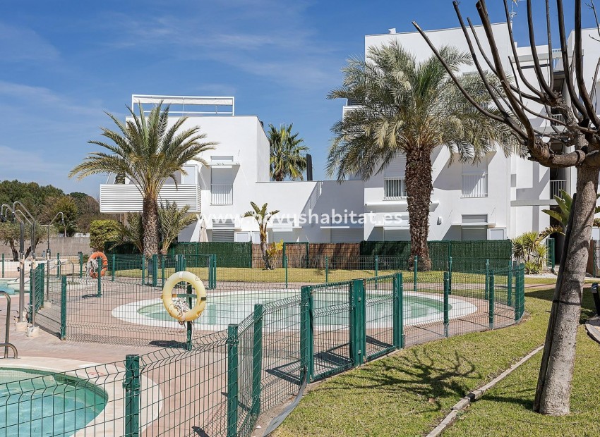 Nouvelle construction -  Appartement - Vera