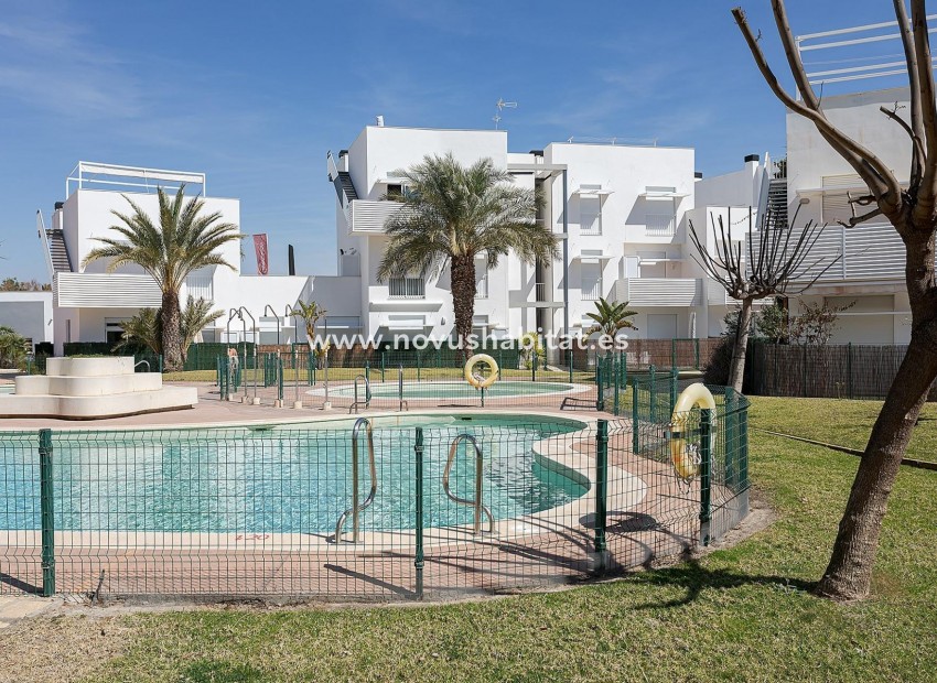 Nouvelle construction -  Appartement - Vera