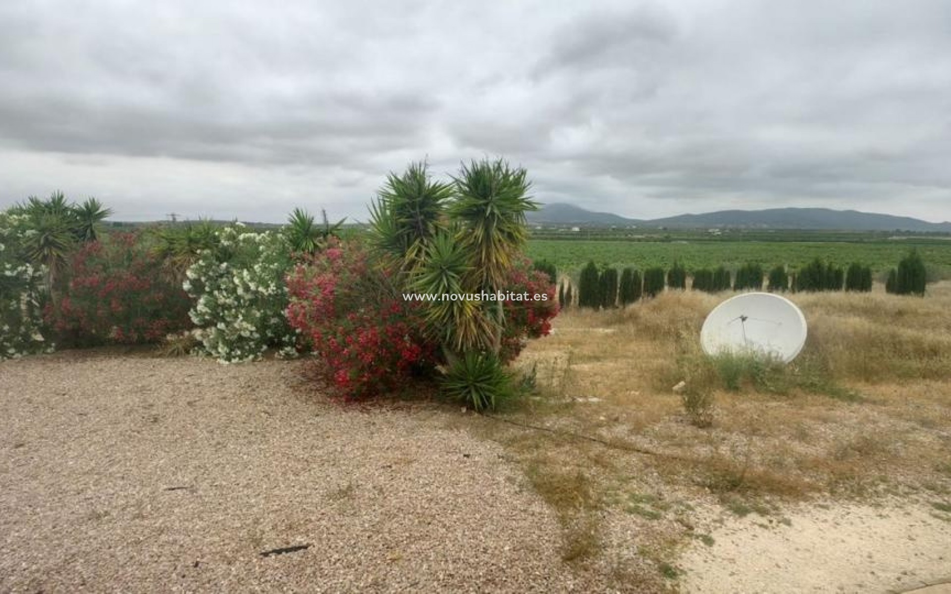 Nouvelle construction - Detached chalet - Pinoso