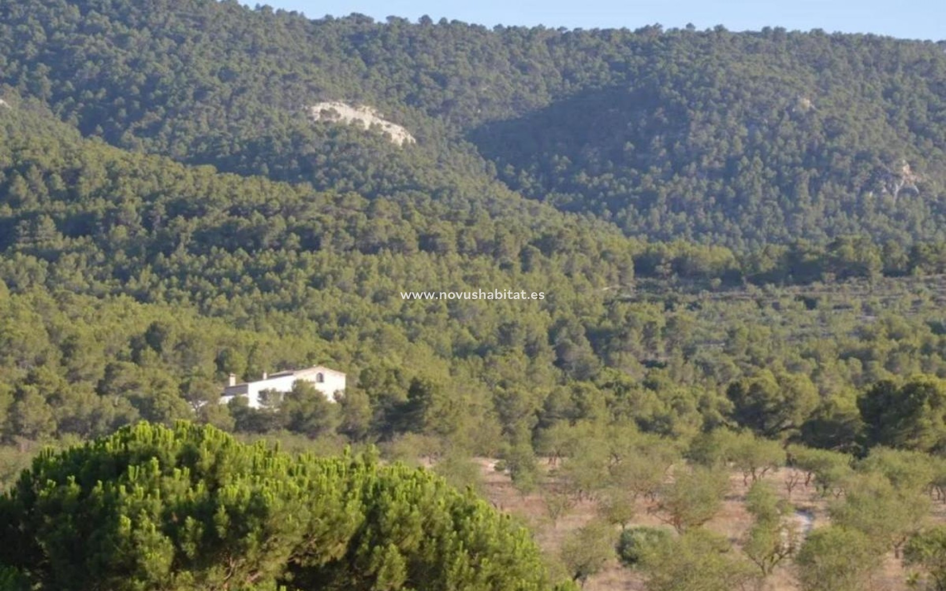 Nouvelle construction - Detached chalet - Villena
