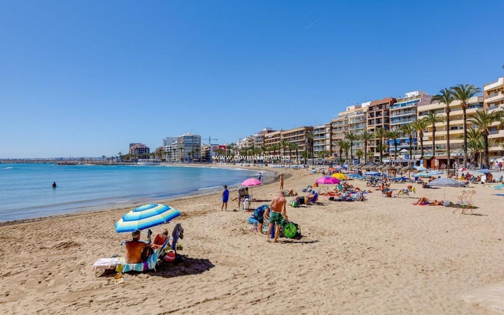 Nouvelle construction - Duplexes - Torrevieja