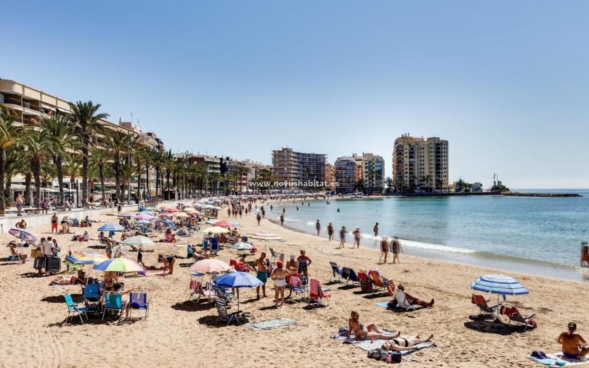 Nouvelle construction - Duplexes - Torrevieja