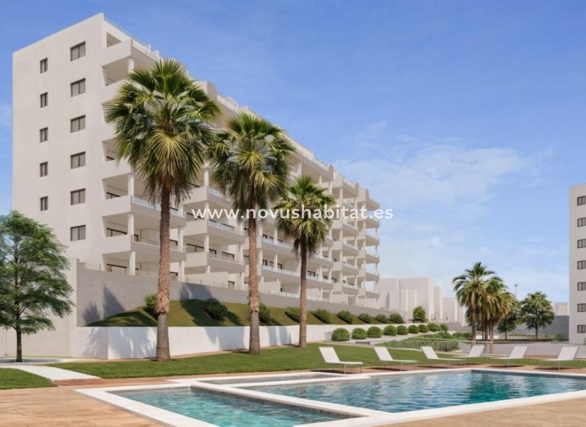 Nouvelle construction - Ground floors - San Miguel de Salinas