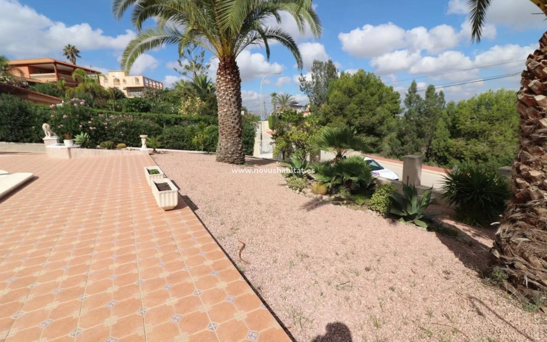 Nouvelle construction - Houses - Algorfa