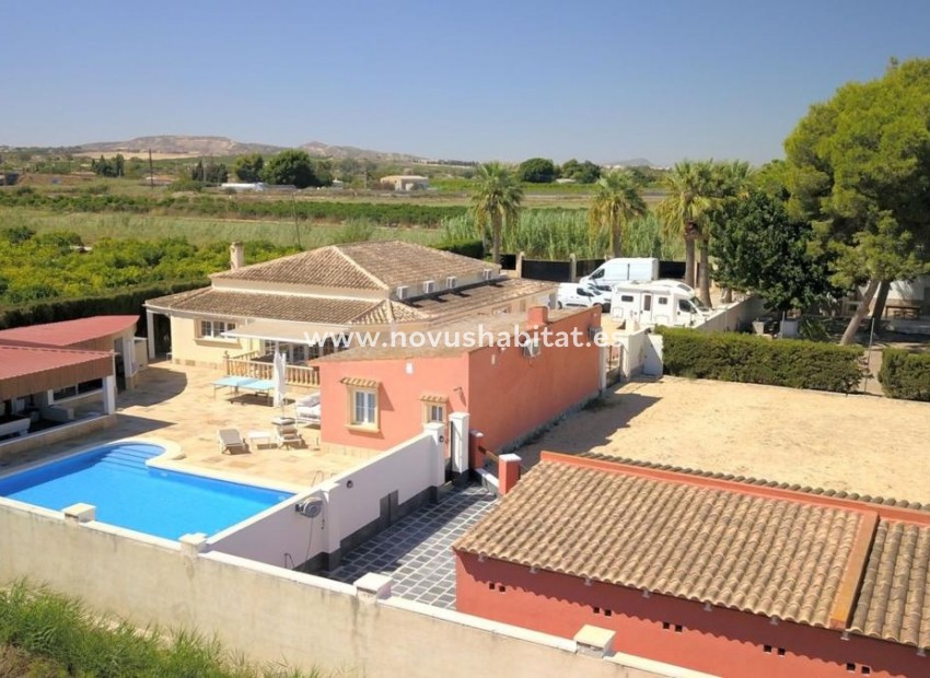 Nouvelle construction - Houses - Almoradí