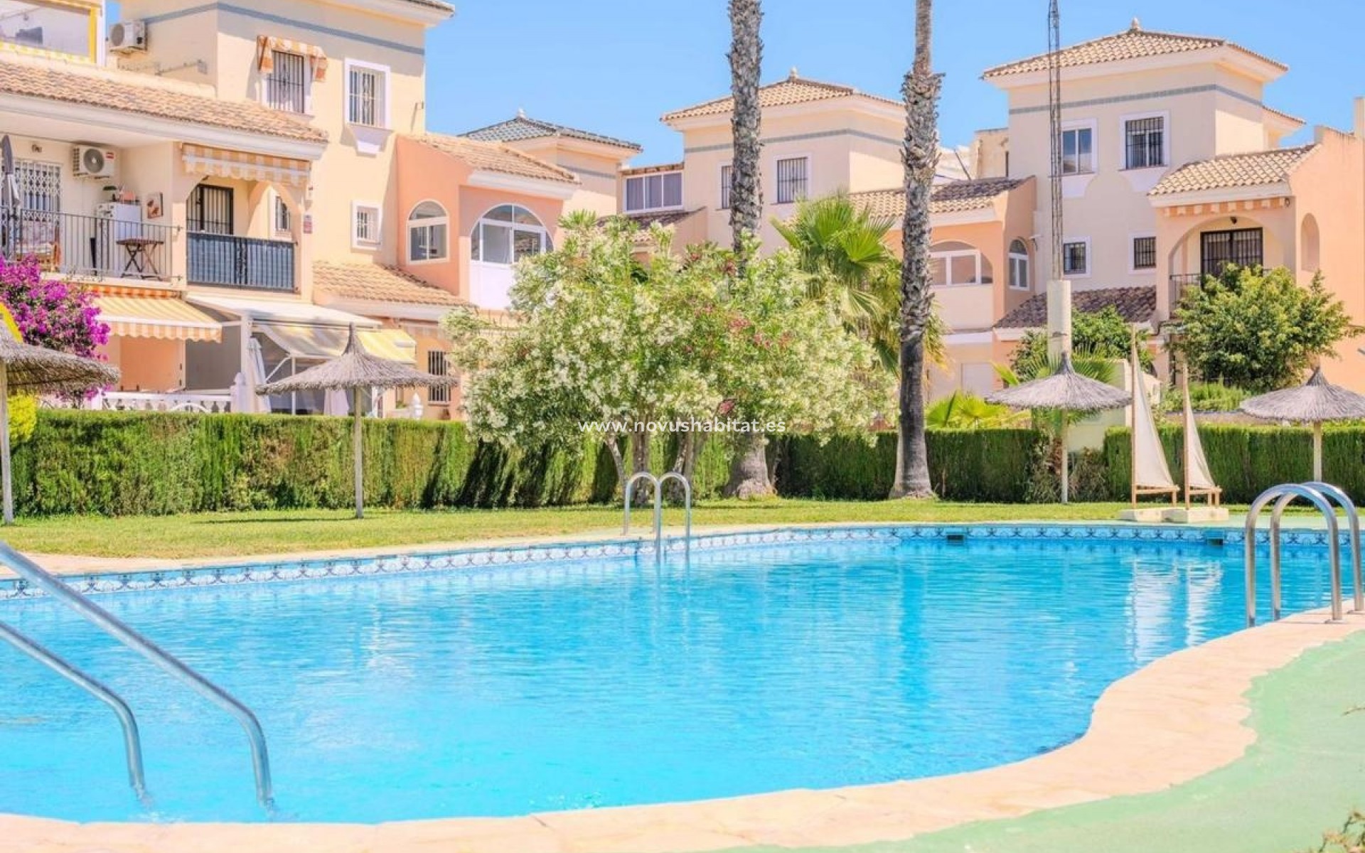 Nouvelle construction - Houses - Orihuela