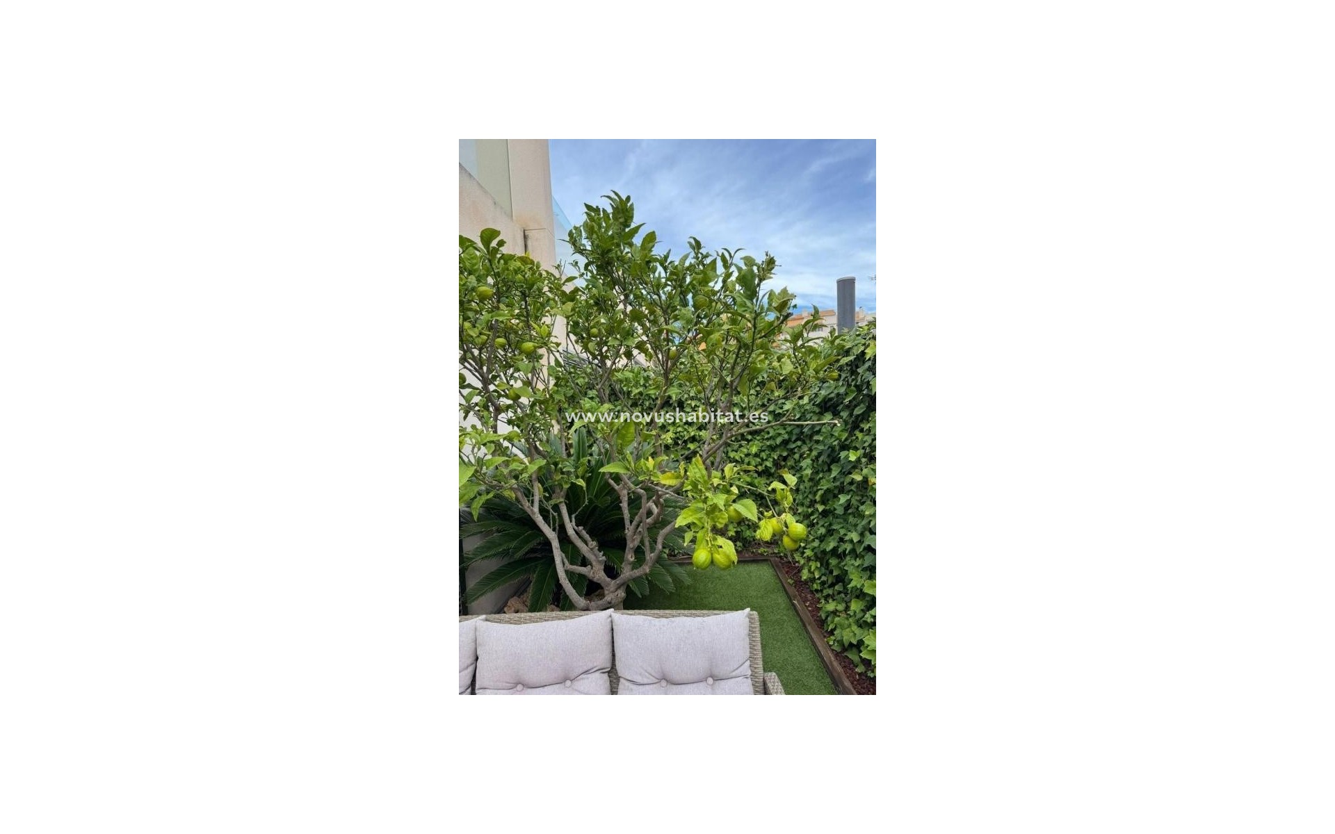 Nouvelle construction - Houses - Torrevieja