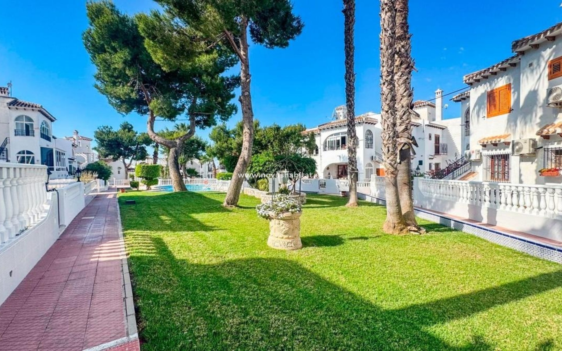 Nouvelle construction - Houses - Torrevieja