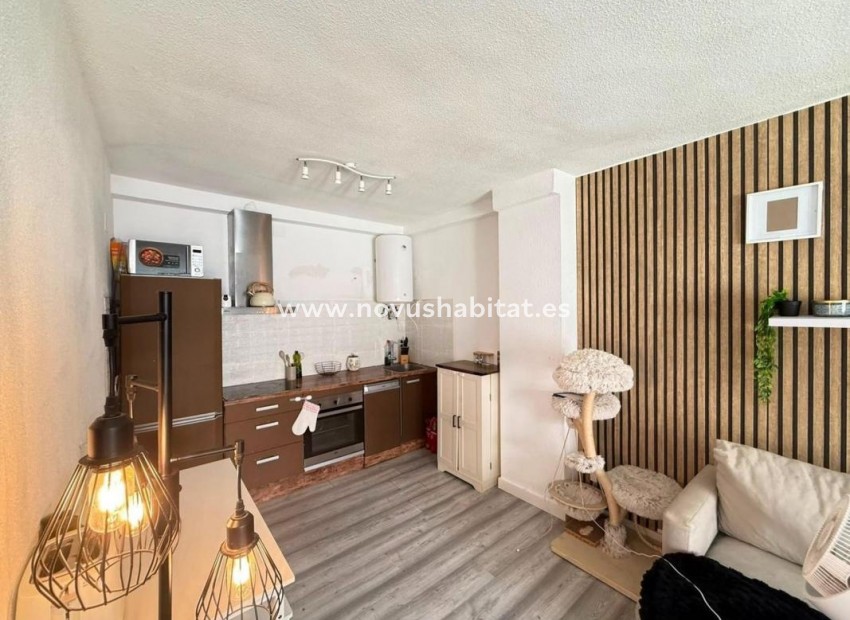 Nouvelle construction - Houses - Torrevieja