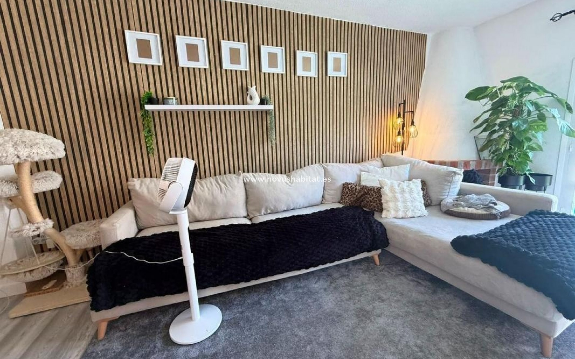 Nouvelle construction - Houses - Torrevieja