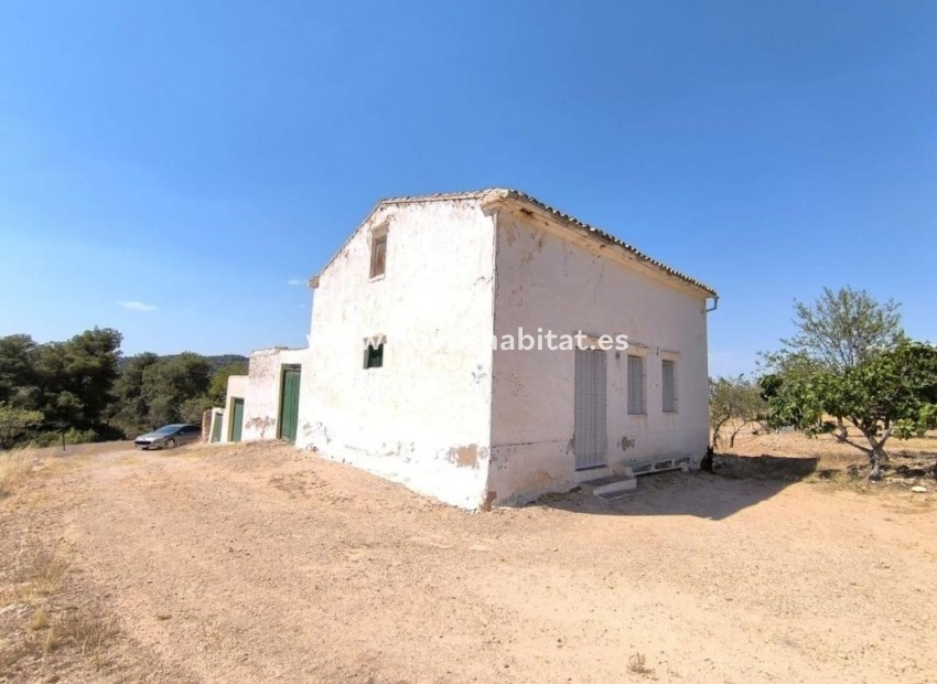Nouvelle construction - Houses - Villena