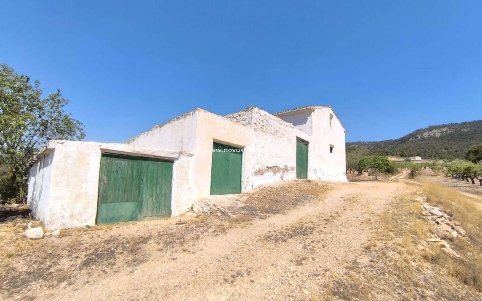 Nouvelle construction - Houses - Villena