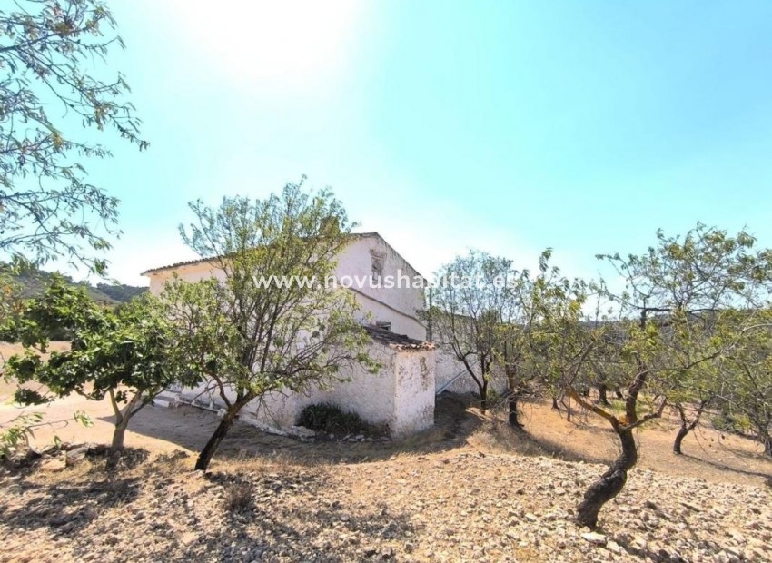 Nouvelle construction - Houses - Villena