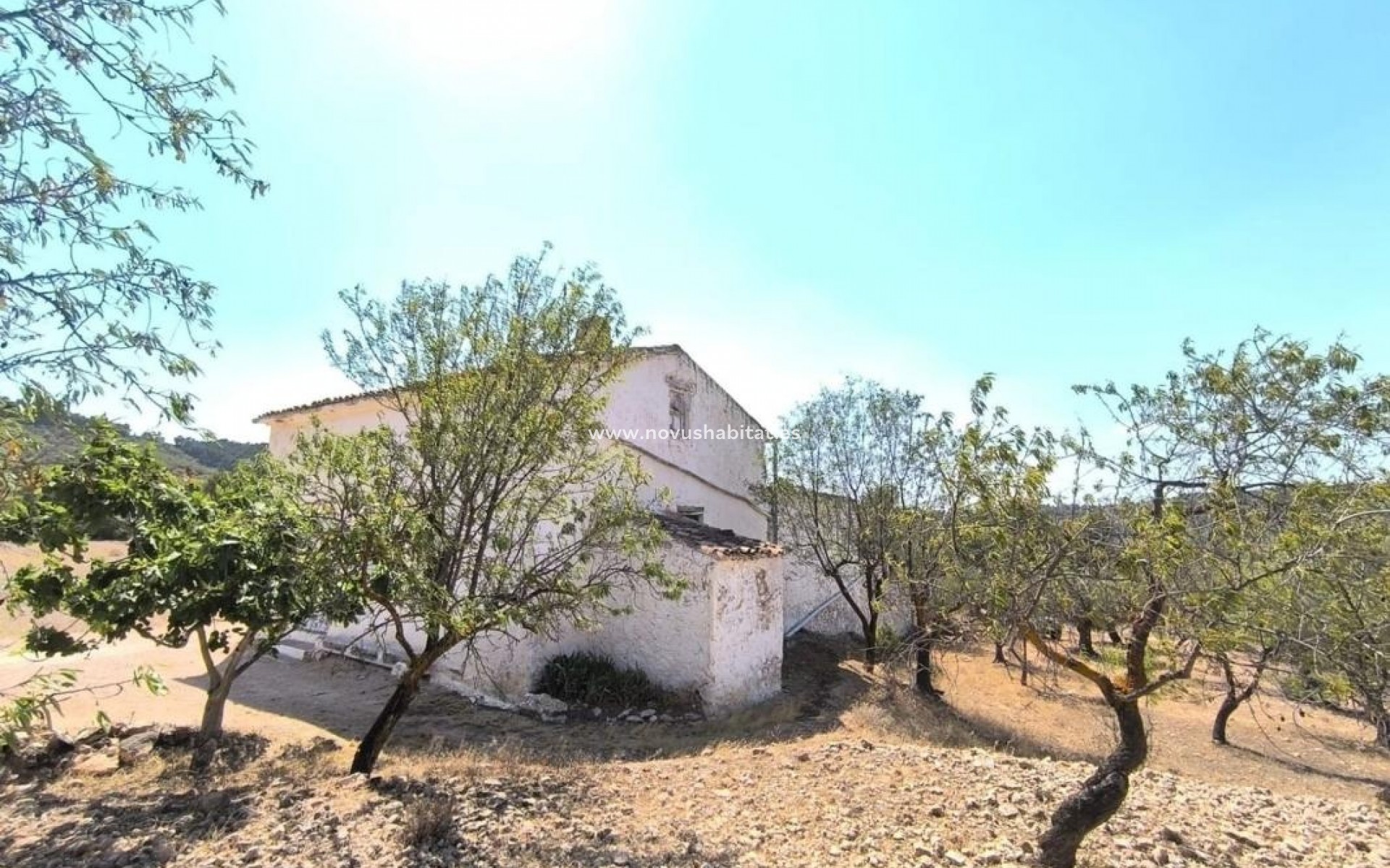 Nouvelle construction - Houses - Villena