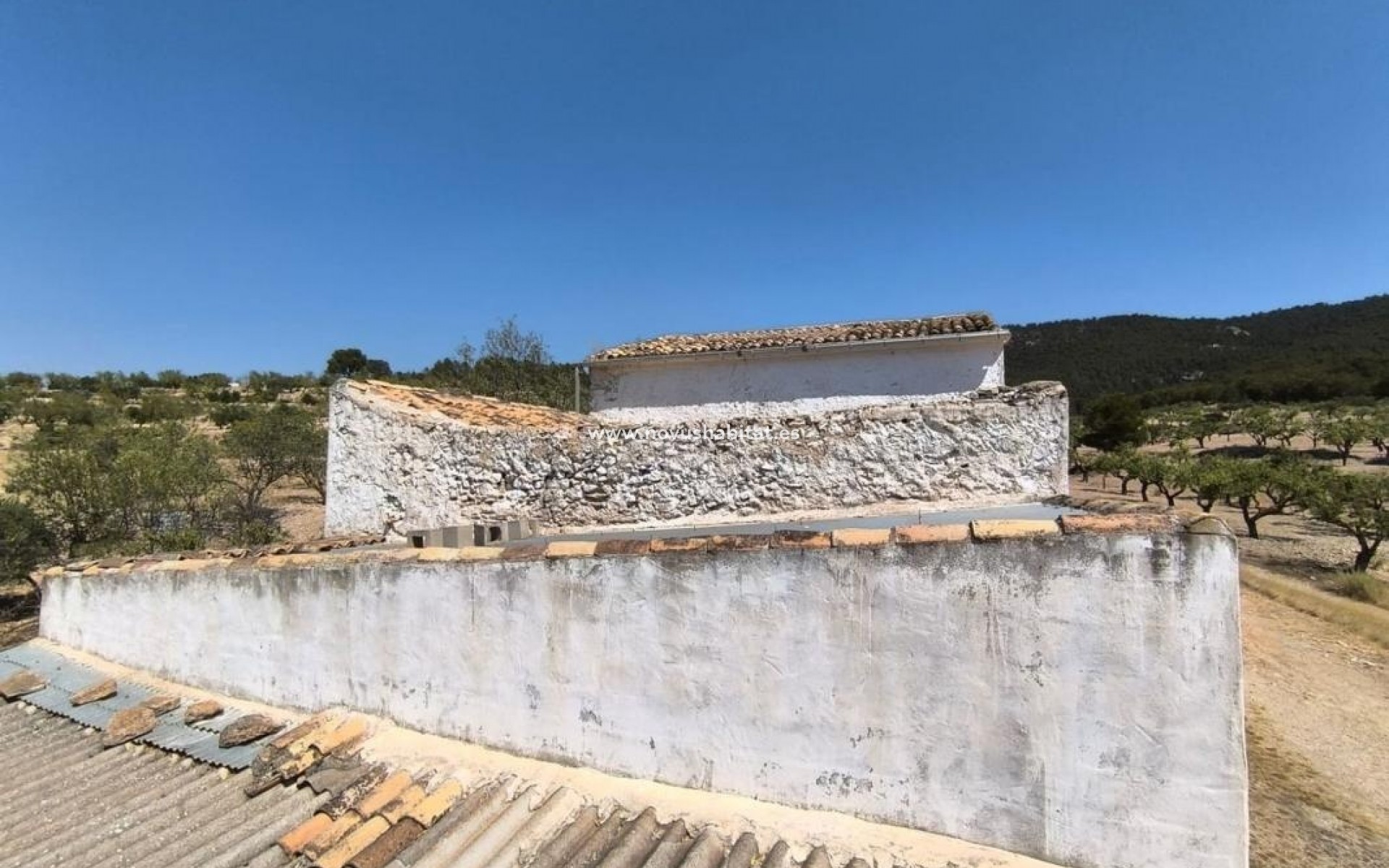 Nouvelle construction - Houses - Villena
