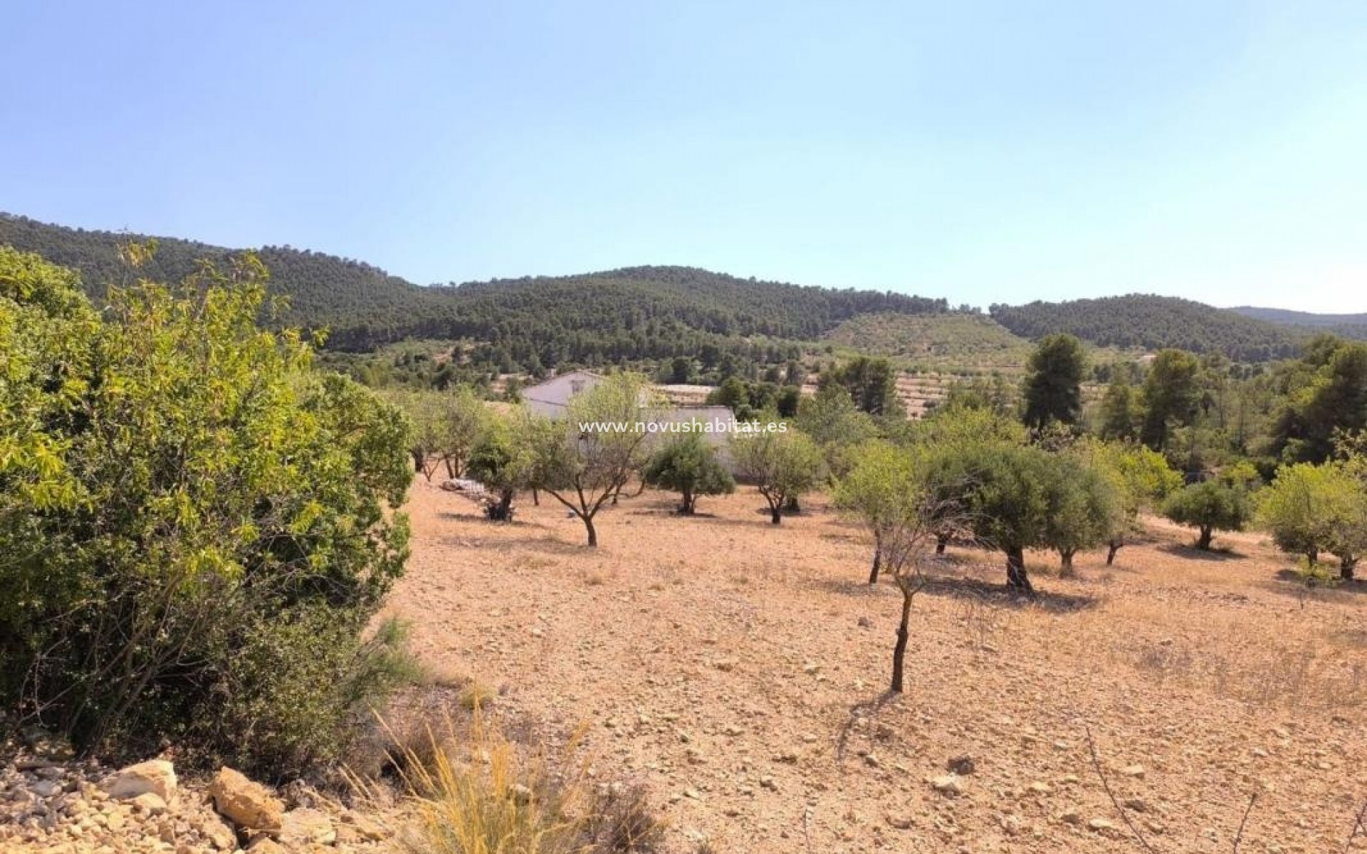 Nouvelle construction - Houses - Villena