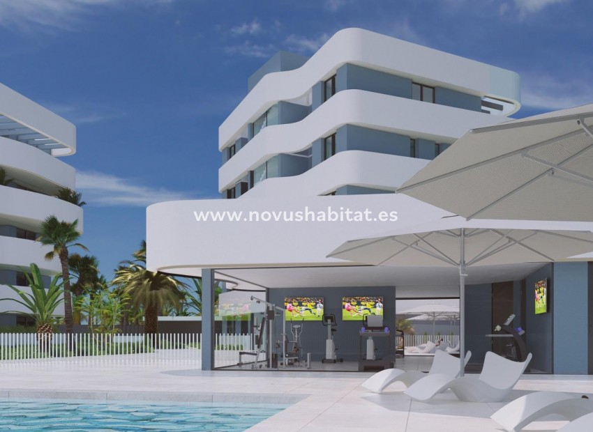 Nouvelle construction - Maison de ville - Guardamar del Segura - El Raso