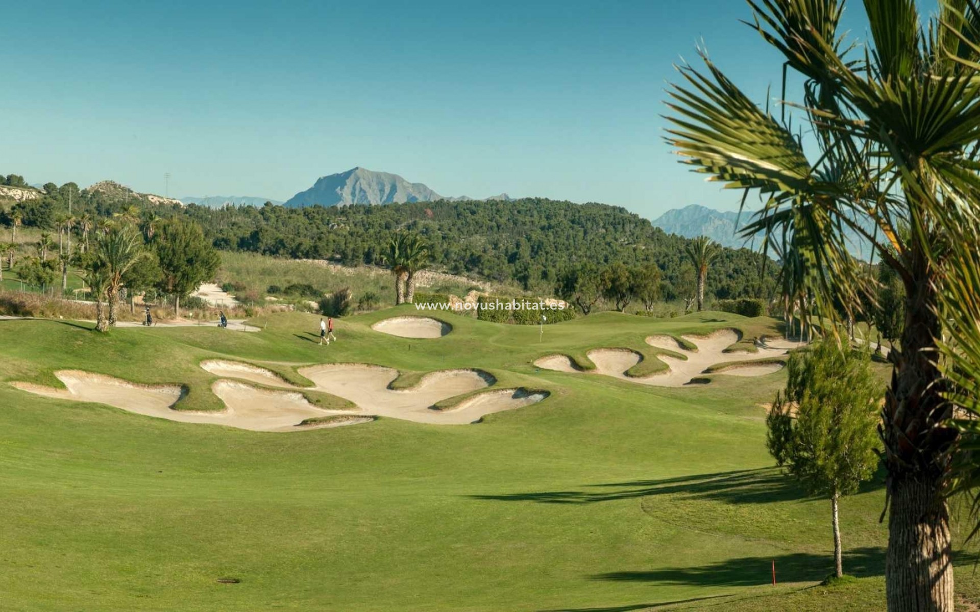 Nouvelle construction - Maison de ville - Orihuela