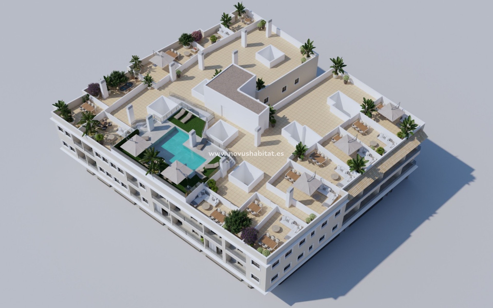 Nouvelle construction - Penthouses - Algorfa