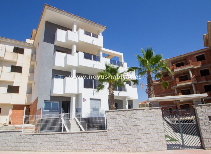 Nouvelle construction - Penthouses - Orihuela