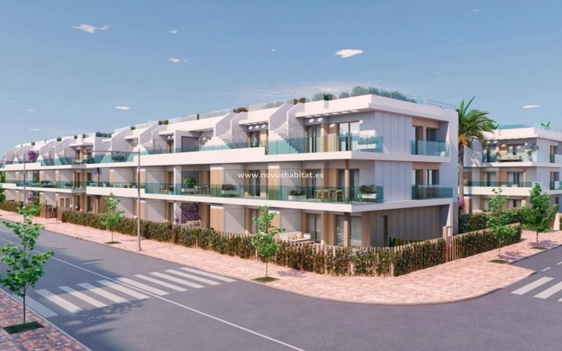 Nouvelle construction - Penthouses - Pilar de la Horadada