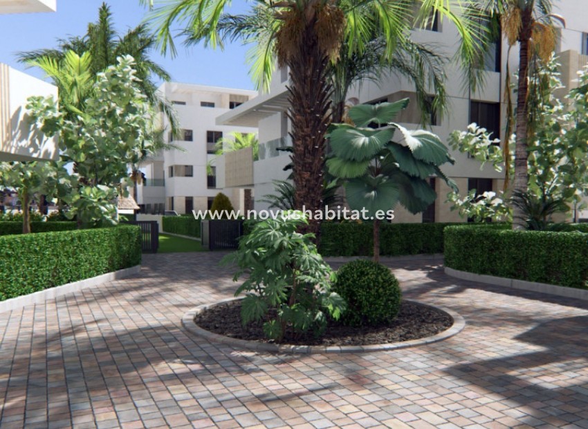 Nouvelle construction - Penthouses - Torre Pacheco - Torre-Pacheco