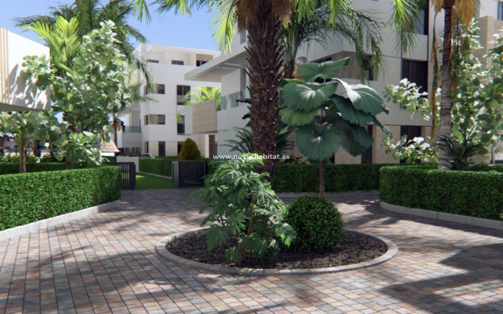 Nouvelle construction - Penthouses - Torre Pacheco - Torre-Pacheco