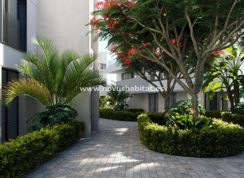 Nouvelle construction - Penthouses - Torre Pacheco - Torre-Pacheco