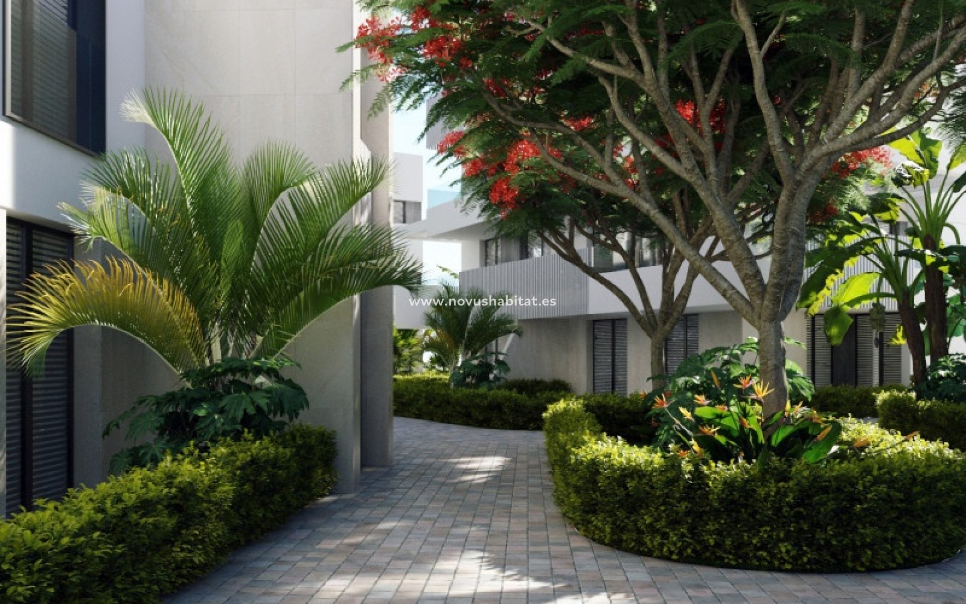 Nouvelle construction - Penthouses - Torre Pacheco - Torre-Pacheco